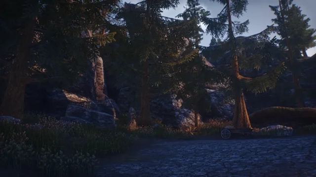 A quiet corner under the pines