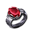 The Death Dealer's Fete, a cursed signet ring of blackened silver with a blood-red ruby.