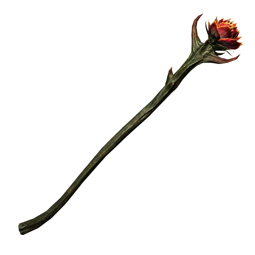 The Sanguine Rose, a staff that summons a lesser Daedra when used.